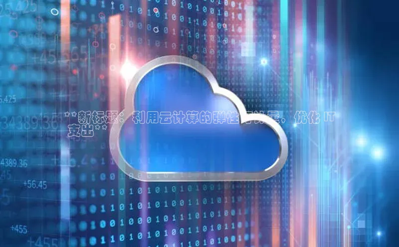 杏鑫平台登录地址极氪智能科技**新标题：利用云计算的弹性可计量，优化 IT
 支出**
