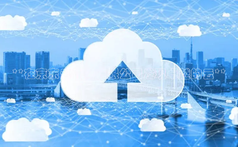 杏鑫登录测速轻美电器**在京东云计算有限公司发现卓越的云**