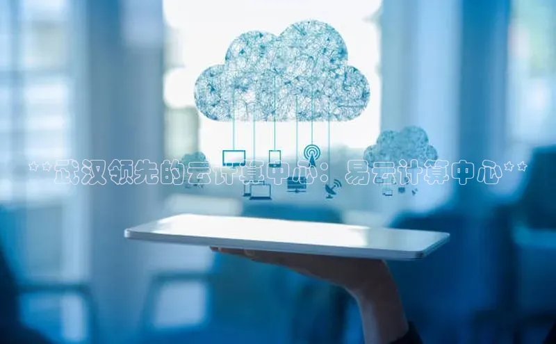 杏鑫注册开户百度众测**武汉领先的云计算中心：易云计算中心**