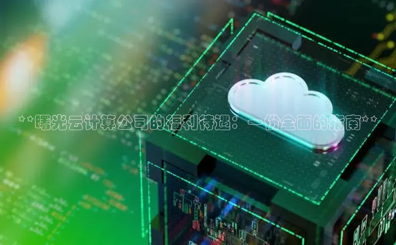 杏鑫平台注册官网百度网盘**曙光云计算公司的福利待遇：一份全面的指南**