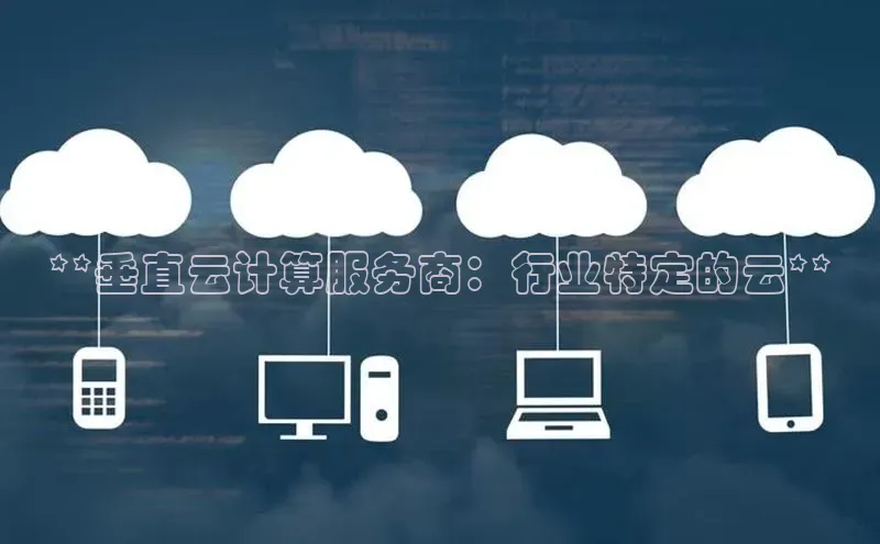 杏鑫平台注册登录百度 H5**垂直云计算服务商：行业特定的云**