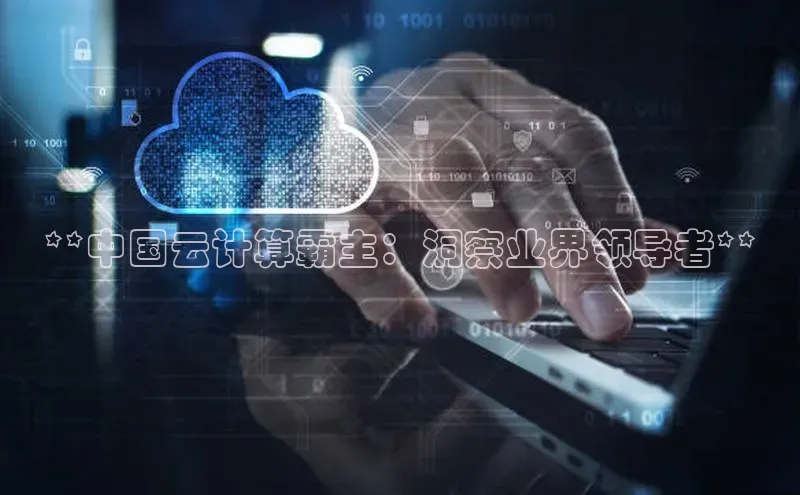 杏鑫平台线路测速百度信誉**中国云计算霸主：洞察业界领导者**