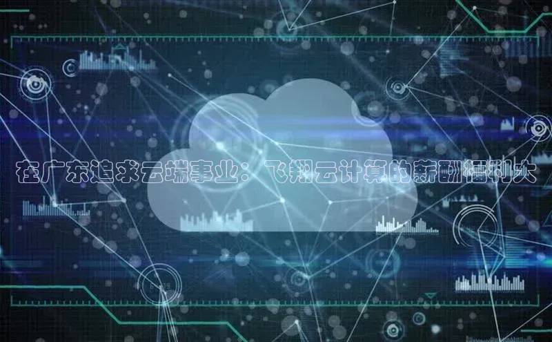 杏鑫平台登录地址百度人工翻译在广东追求云端事业：飞翔云计算的薪酬福利大
