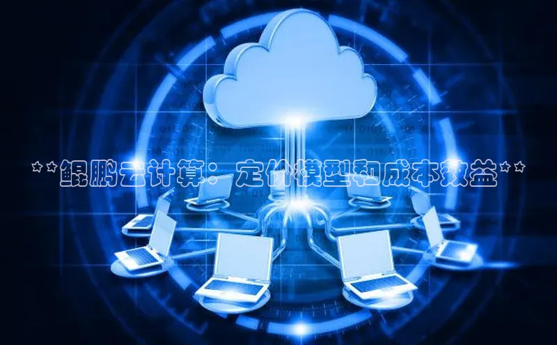 杏鑫平台代理视觉中国**鲲鹏云计算：定价模型和成本效益**