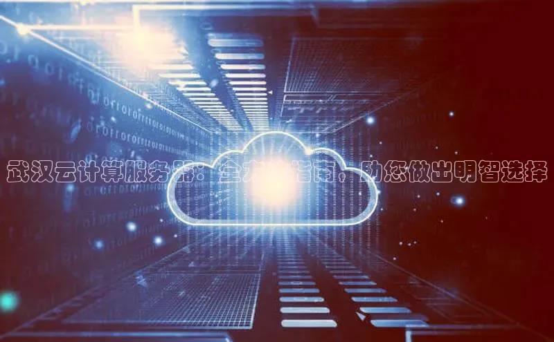 杏鑫平台手机登录入口百度教育武汉云计算服务器：全方位指南，助您做出明智选择