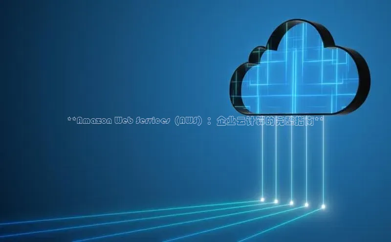 杏鑫注册开户普信公司**Amazon Web Services（AWS）：企业云计算的完整指南**