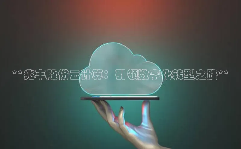 杏鑫平台注册登录百度网盘企业版**兆丰股份云计算：引领数字化转型之路**