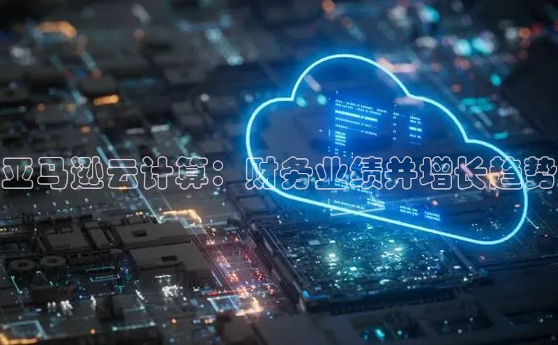 杏鑫彩票app官方下载颐驰 06亚马逊云计算：财务业绩并增长趋势