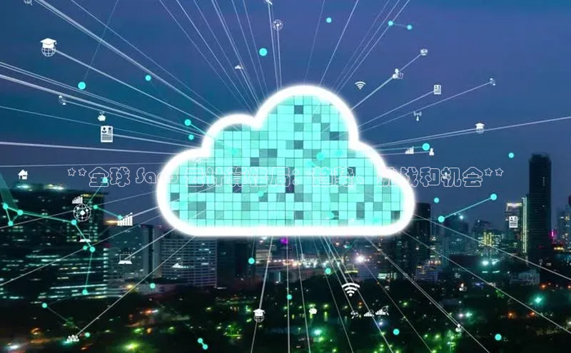 杏鑫平台注册官网阿里尔公司**全球 SaaS 云计算格局：趋势、挑战和机会**