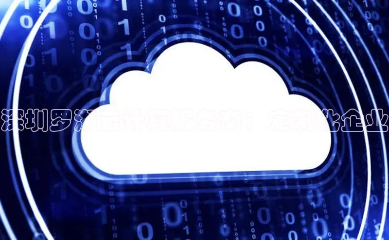 杏鑫平台线路测速赛富乐斯深圳罗湖云计算服务商：定制化企业