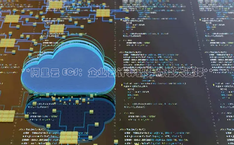杏鑫注册开户百度众测**阿里云 ECS：企业云计算服务的强大选择**