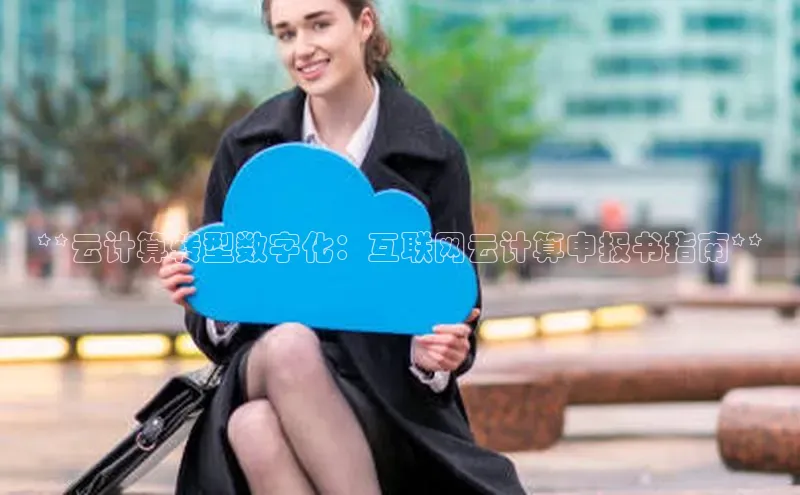 杏鑫平台注册登录百度网盘企业版**云计算转型数字化：互联网云计算申报书指南**