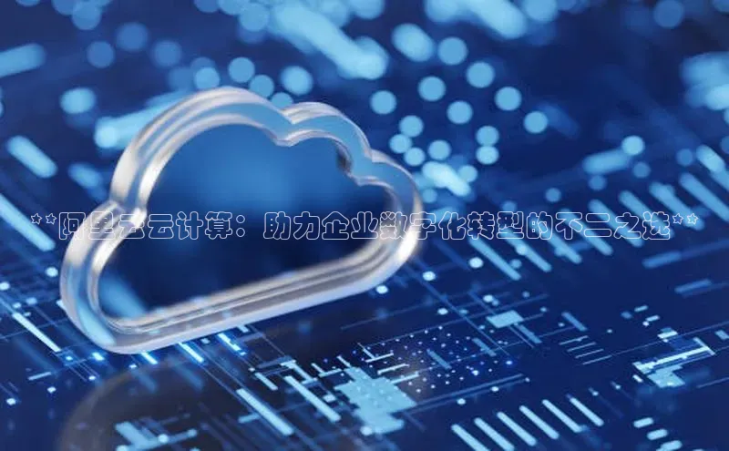 杏鑫注册平台官方网站每日互动**阿里云云计算：助力企业数字化转型的不二之选**